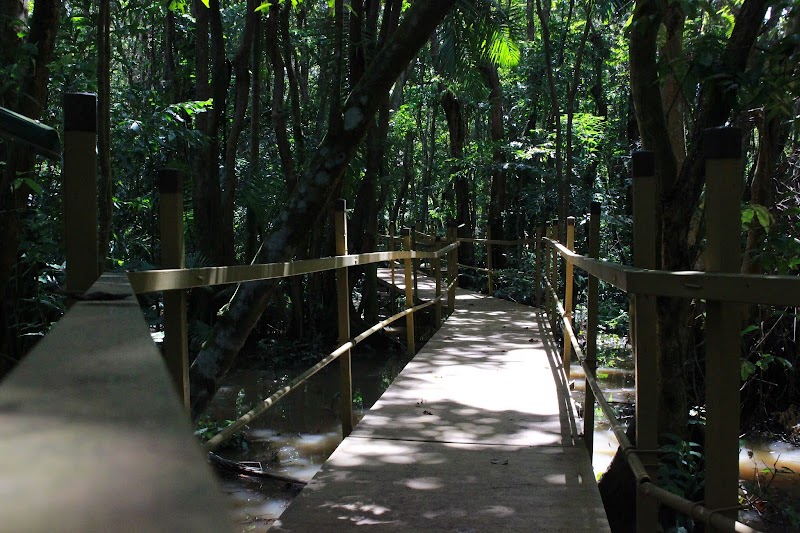 Left Photo